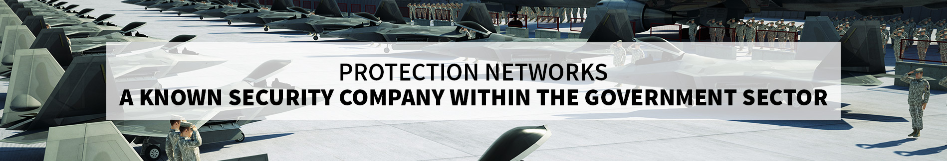 Protection Networks for Government