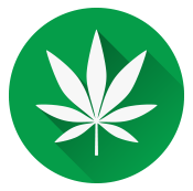 medical-marijuana-Icon-green